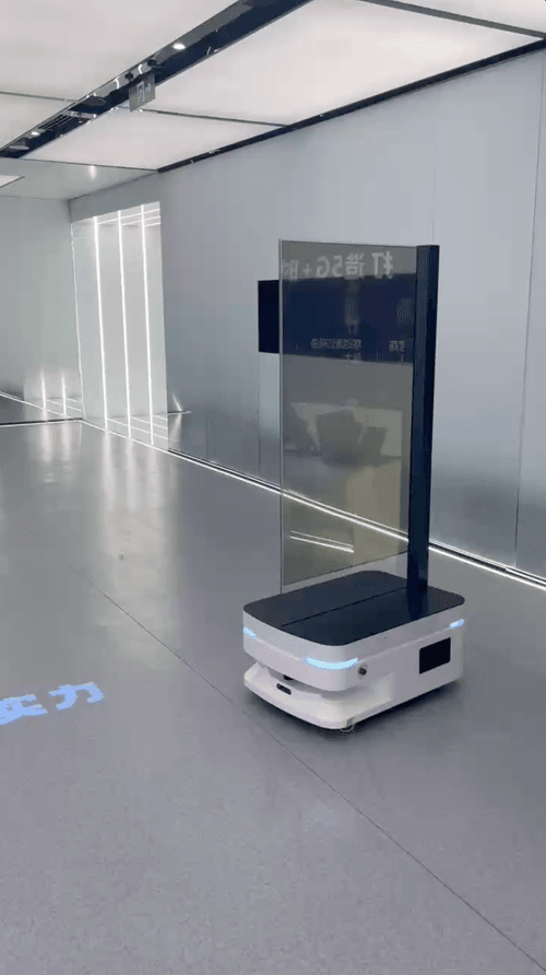 Go 2 Robot