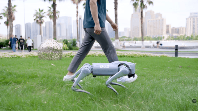 Go 2 Robot