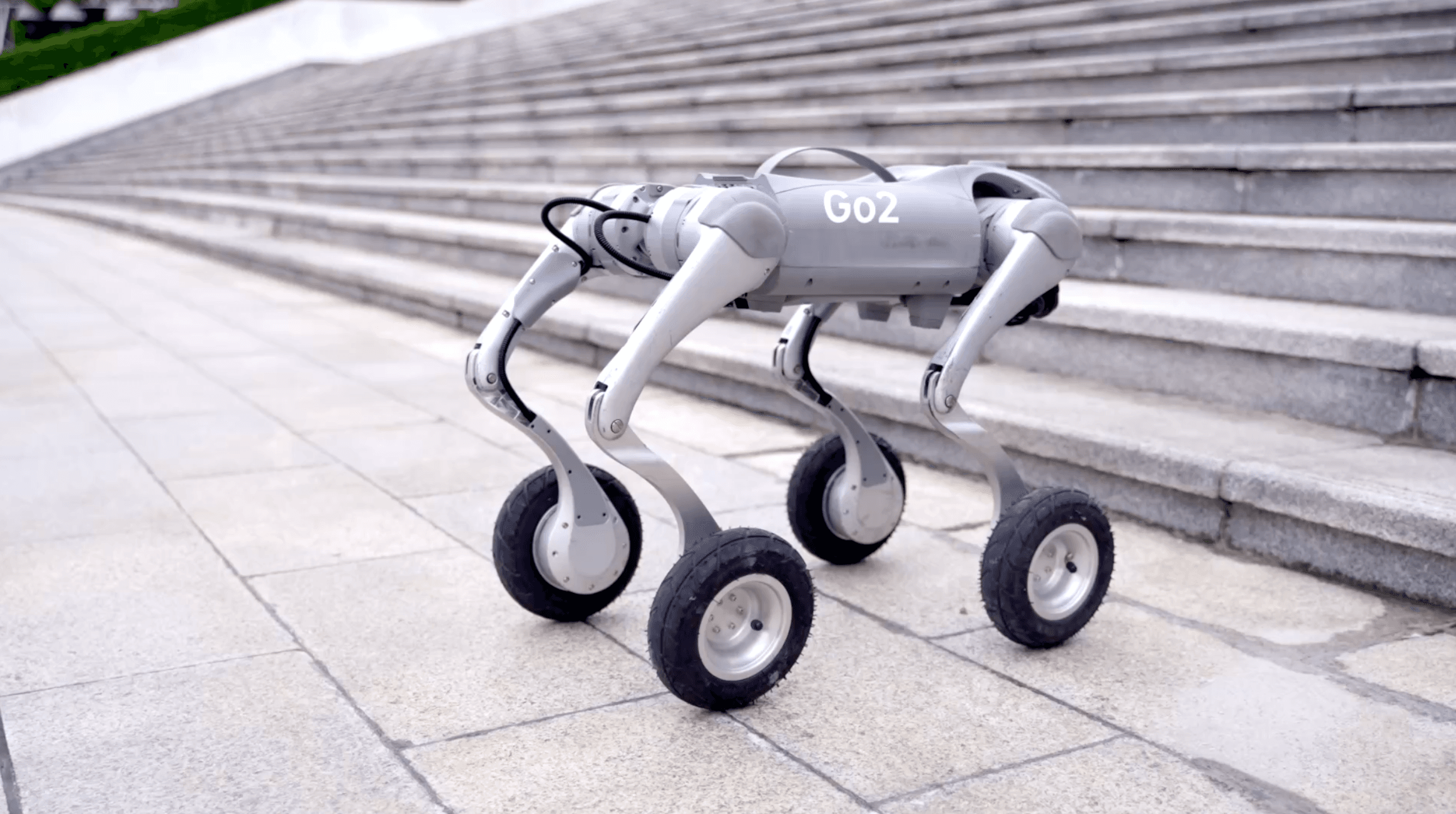Go 2 Robot