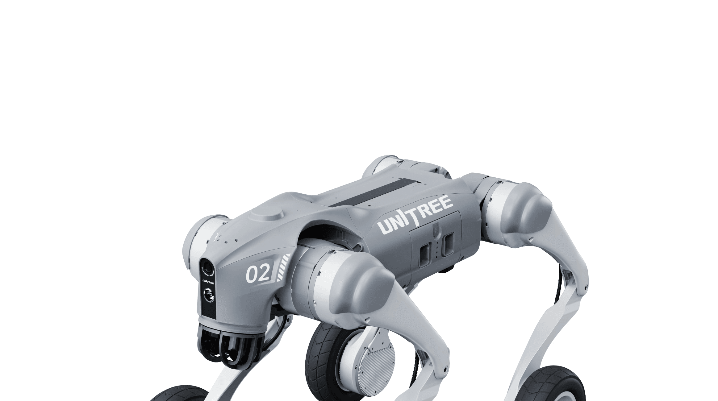 Go 2 Robot
